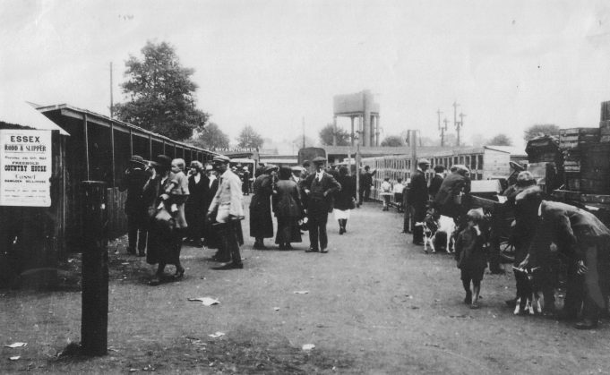 Wickford Market, circa 1920s.