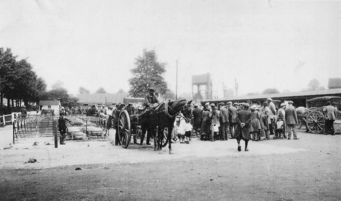 Wickford Market, circa 1920s.