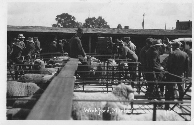 Wickford Animal Market