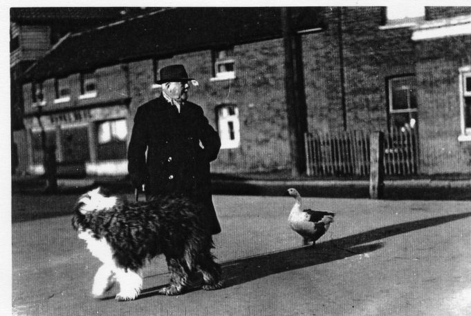 Richard Bartlett, Mr. Bartlett with his dog and goose go collecting for charity