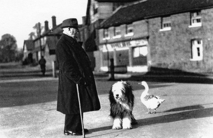 Richard Bartlett, Mr. Bartlett with his dog and goose go collecting for charity