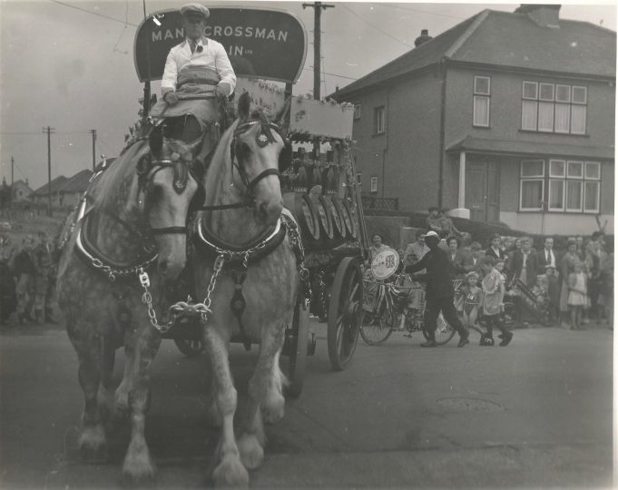Horses pulling a dray in the parade